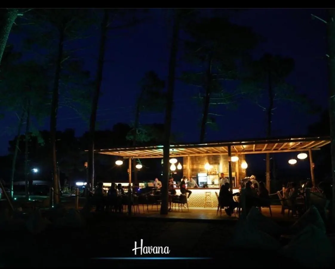 Havana House Sakes